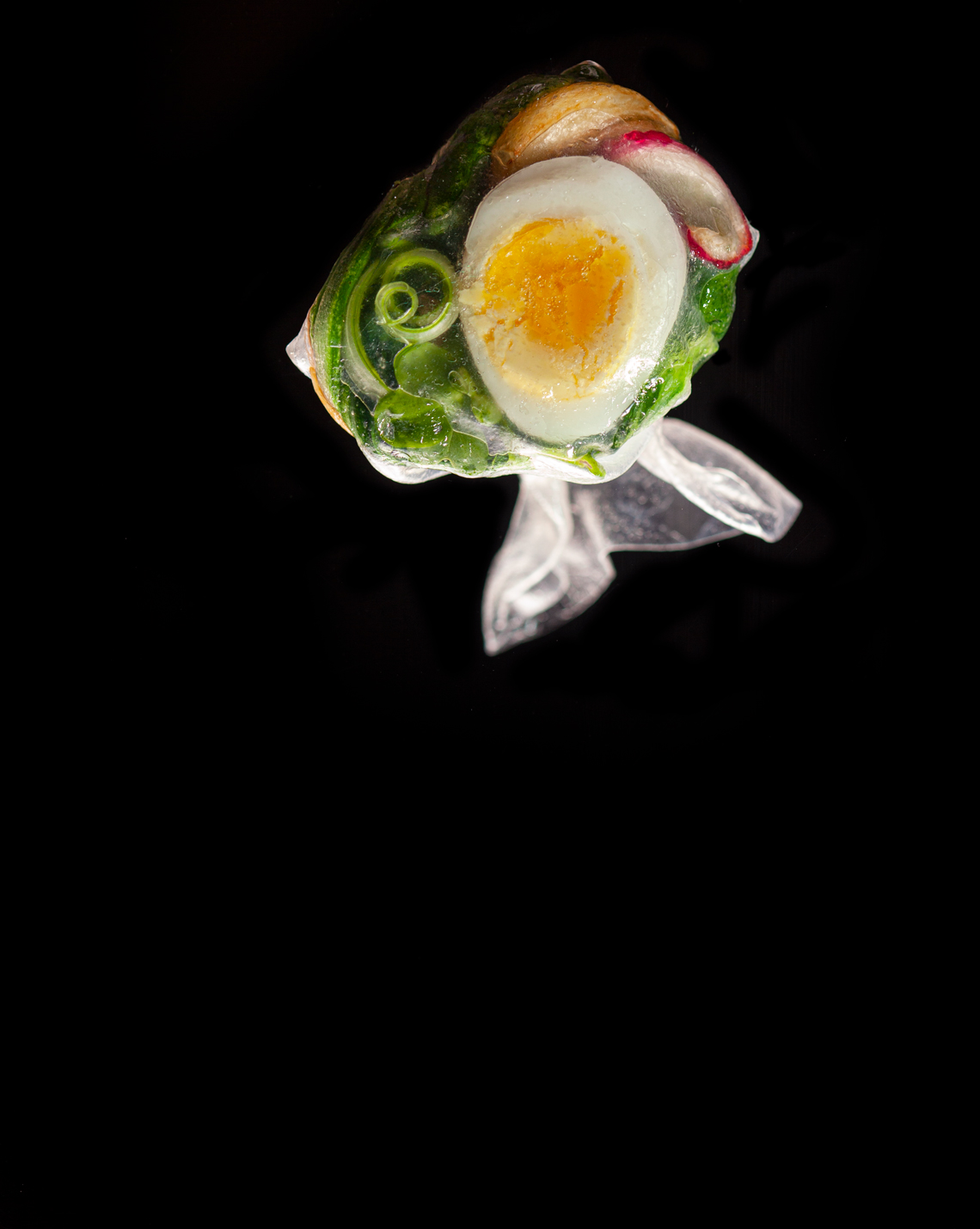Aristo-Studios-Food-Photography-Egg-RicePaper-Floating