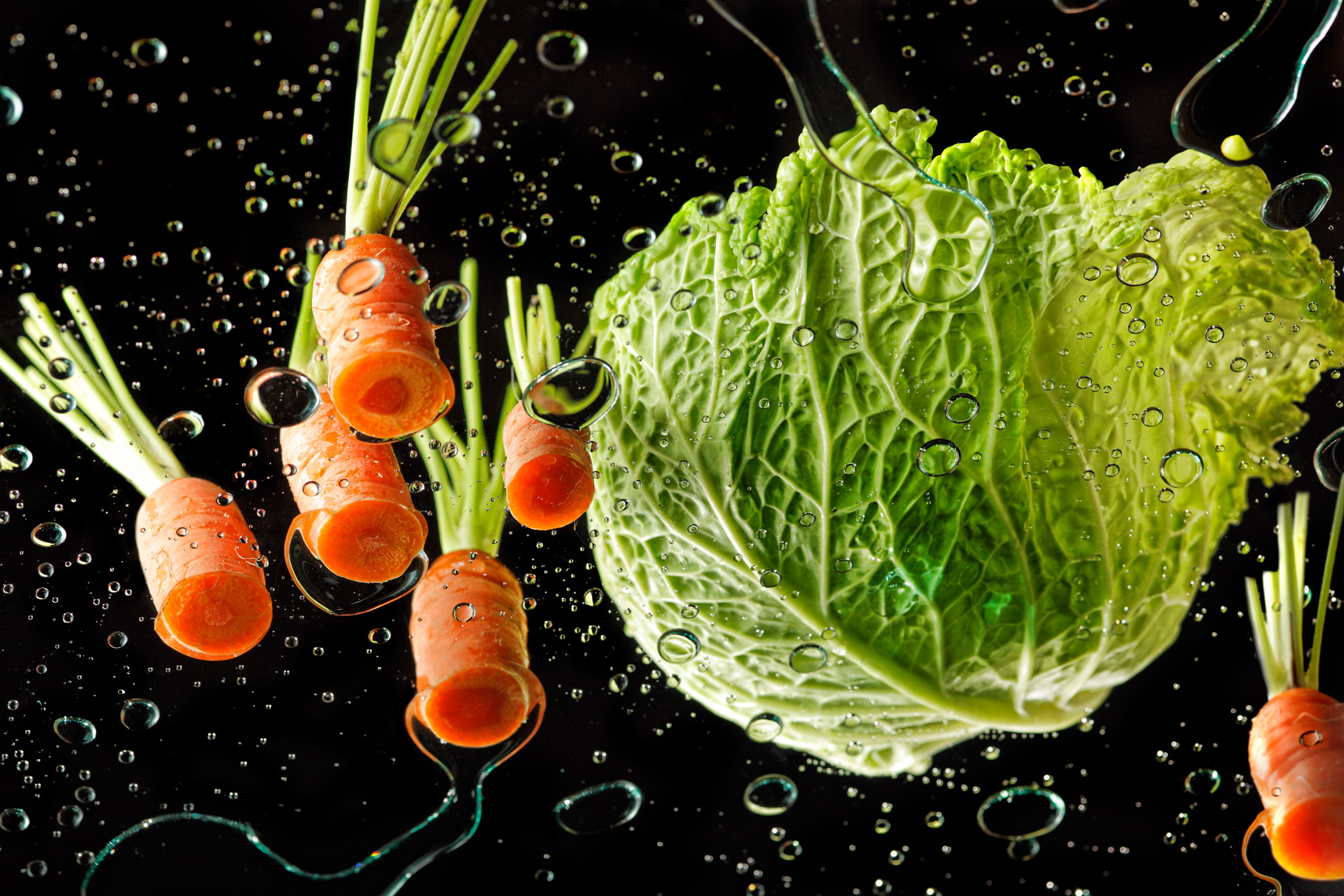 Cabbage Carrots Food Beverage Photography- © Aristo Studios