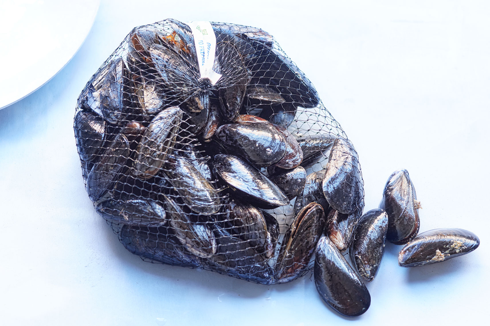 Mussels in Net -Food Photography- © Aristo Studios