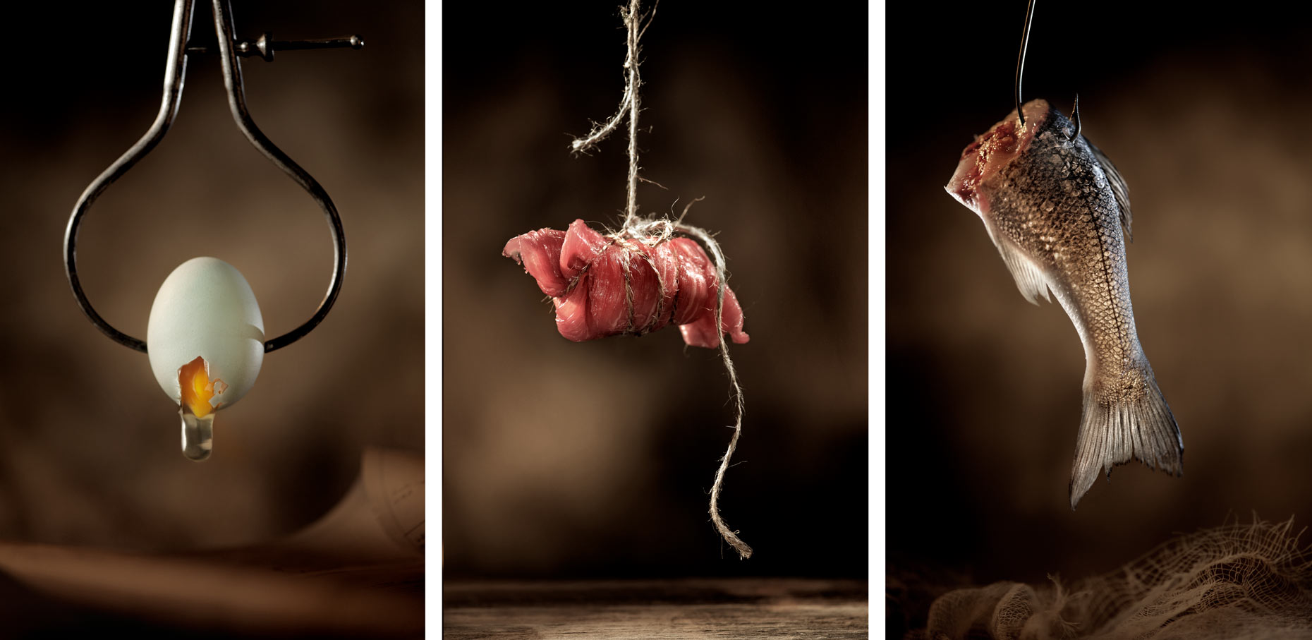 Hanging Egg Meat Fish  - Beverage Food  Photography- © Aristo Studios