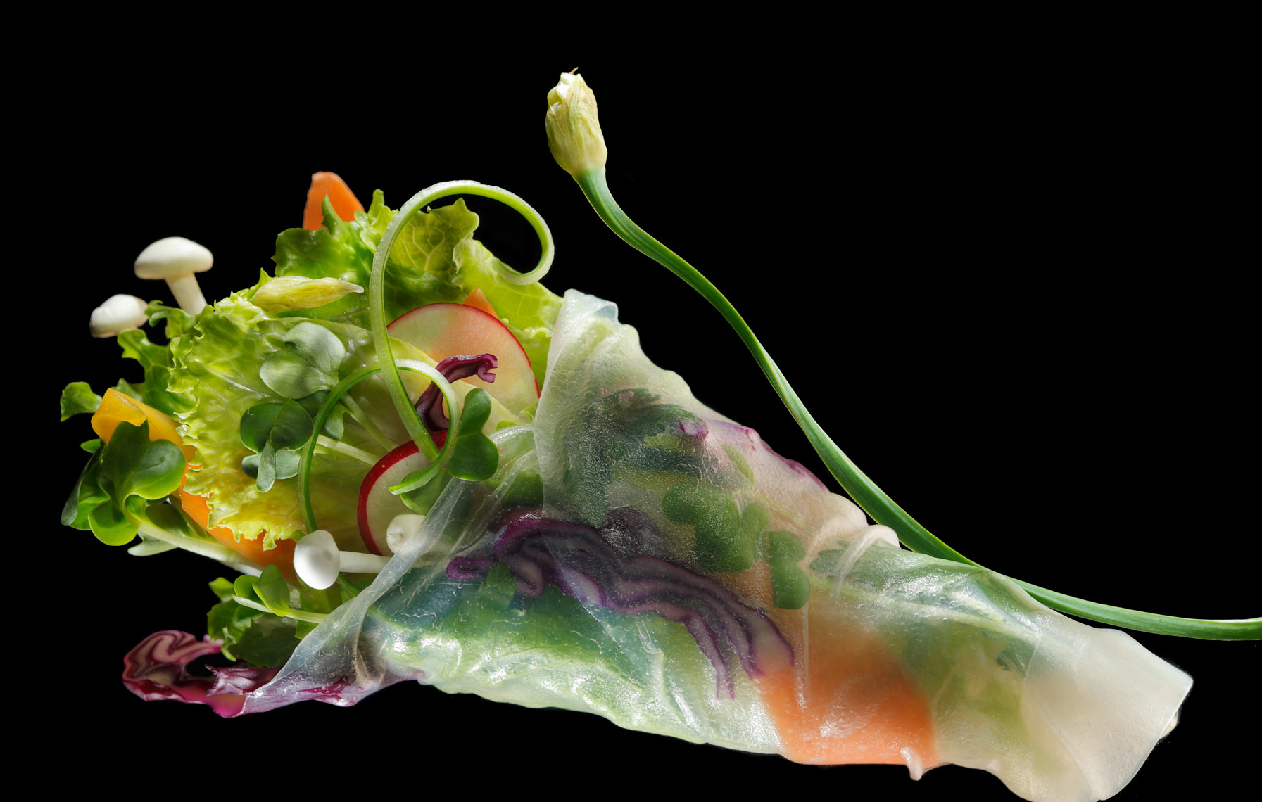 Vegetable in RicePaperRoll Food Photography- © Aristo Studios