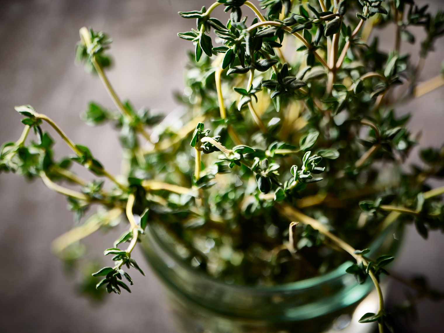 Thyme in Jar -Food Photography- © Aristo Studios